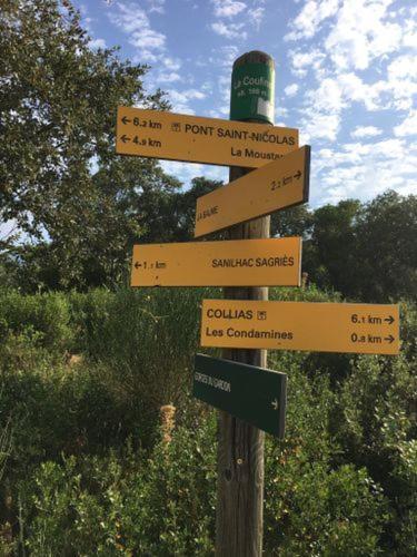 Proche Uzes Le Cocon Du Peintre Anglais Sagriès Exteriér fotografie