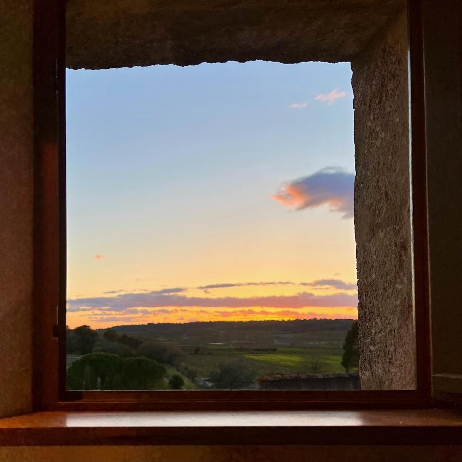Proche Uzes Le Cocon Du Peintre Anglais Sagriès Exteriér fotografie